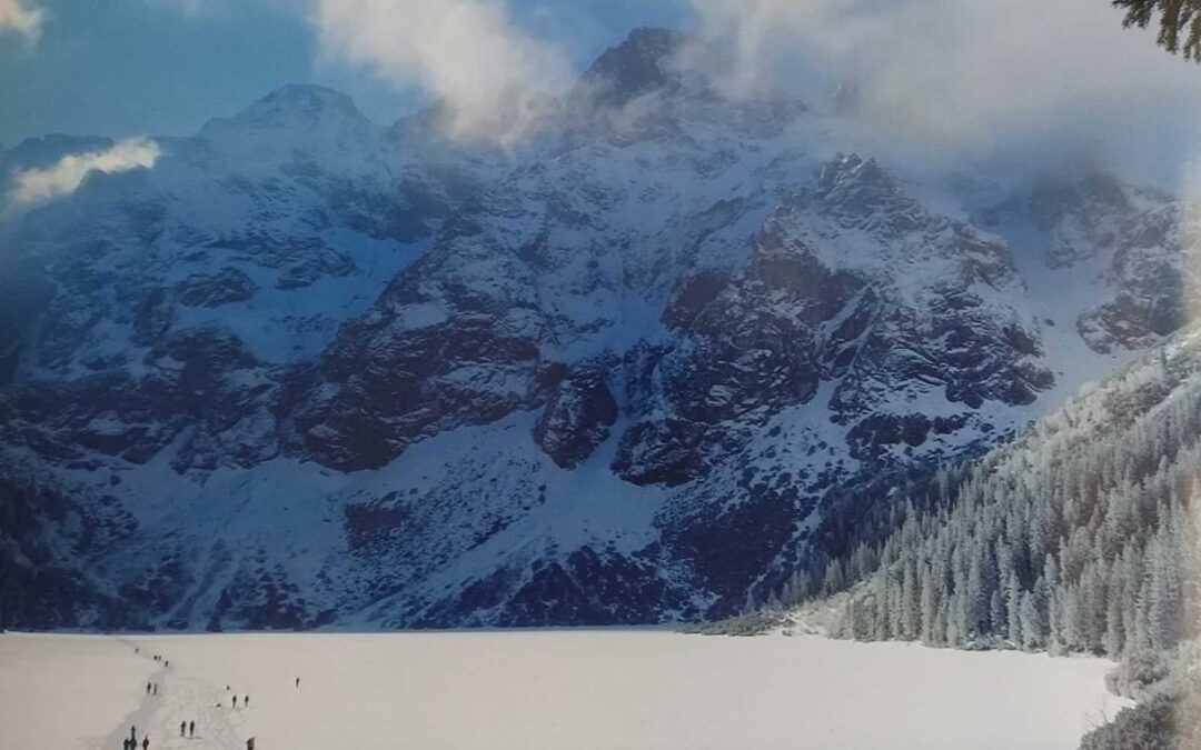 Wyniki szkolnego konkursu fotograficznego „zima w obiektywie”
